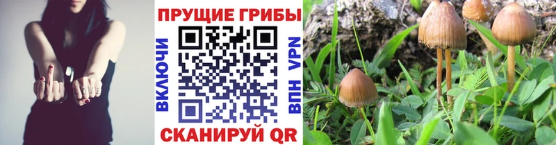 Псилоцибиновые грибы ЛСД  MEGA   Саров 